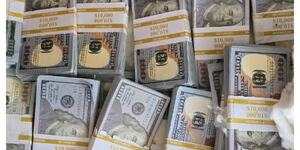 Fake US Dollar notes from the arrested 