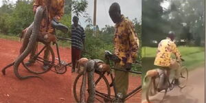 Screengrabs of the man carrying the carcasses of his dog and python on his bicycle.