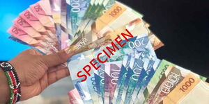 Person holds Kenya's currency notes.