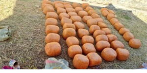 Pictured Stones of Bhang Retrieved From Two Suspects Arrested in Isiolo on 22nd December