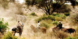 Tourists get a breathtaking view of a herd of elephants while riding on horses. 