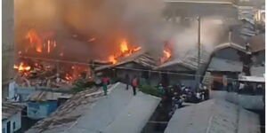 Tassia Fire