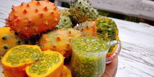 A photo of African Horned Cucumber.