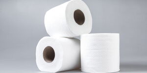 An image of toilet paper