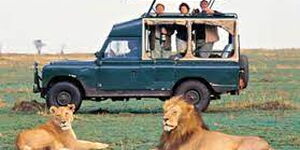 Tourists view wildlife at a Kenyan reserve.