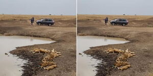 Tourists at Nairobi National Park