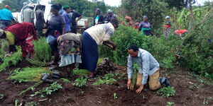 A Kenyan community during tree planting exercise