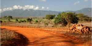 Tsavo East