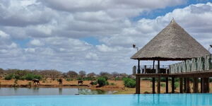 An undated photo of animals at a water point in Tsavo East National Park.
