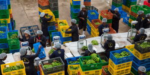 Image of workers packing fresh food products.