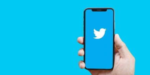 An image of a hand holding a phone with a Twitter logo. 18.11.2022.
