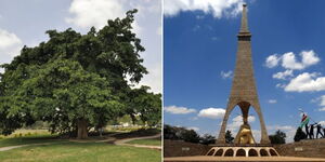 A photo collage of a fig tree at Uhuru Gardens and the Uhuru Gardens monument in Lang'ata.