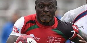 Image of Collins Injera