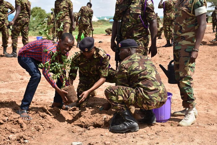 KDF officers take part in tree planting exercise at Modika Barracks, garissa county on November 6