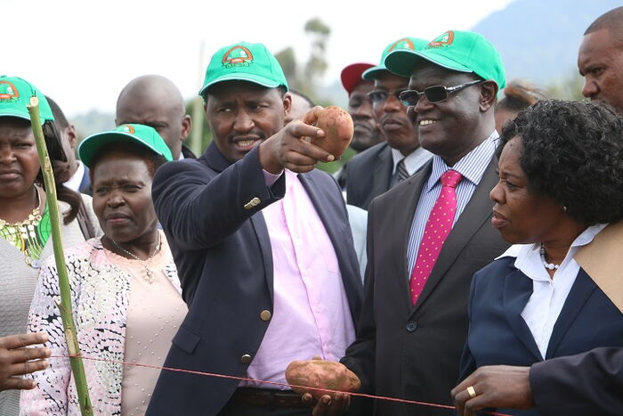 Uhuru's CS Deployed to Handle Ruto's Critics and Allies ...