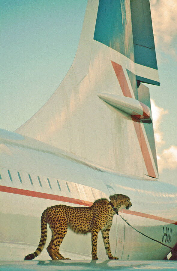 747 cruise altitude