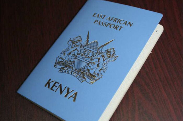 A Kenyan passport. Two Kenyans were deported from Germany in an operation that cost Ksh15 million.