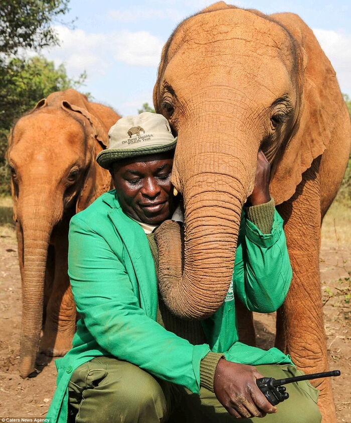 https://www.kenyans.co.ke/files/styles/article_inner/public/images/news/elephant_with_man.jpg?itok=O_eL2S5N https://www.kenyans.co.ke/files/styles/article_inner/public/images/news/elephant_with_man.jpg?itok=O_eL2S5N