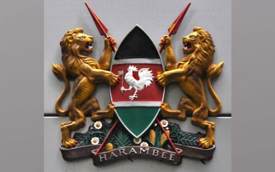 Image result for kenyan coat of arms