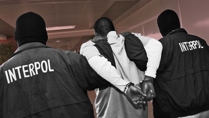 Interpol organized crime
