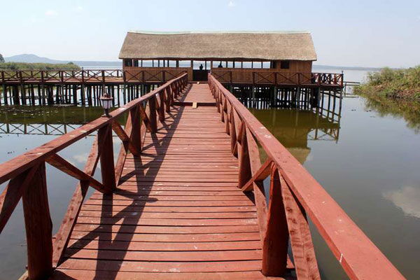 A section of Lake Kanyaboli National Reserve in Siaya County