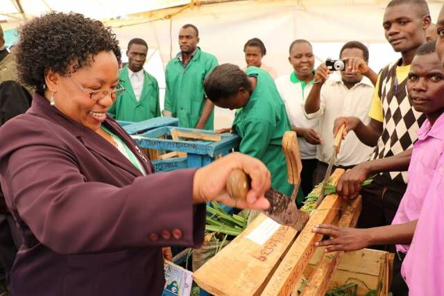 Former Kakamega Investment Agency CEO Ebby Kavai explores a project at the 1st County Education Exhibition in Kakamega on June 13, 2016