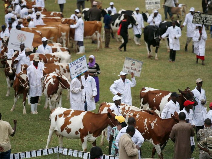 Surprising Things About President Uhuru Kenyatta's Farm in Gicheha