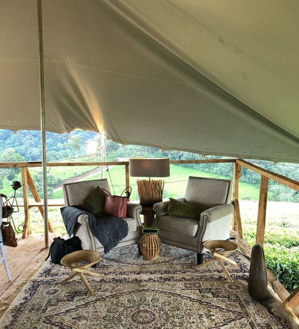 A section of the Green Experience. The cabin provides a clear view of the green scenery surrounding the restaurant.