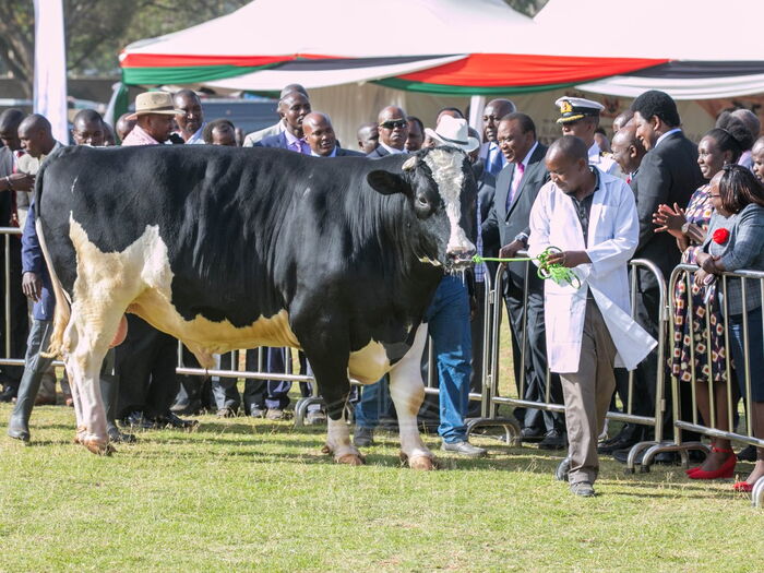 Image result for uhuru kenyatta dairy farm