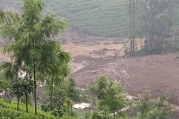A section of tea farms in Githambo village in Murang’a County where a landslide swept away bushes on December 3, 2019