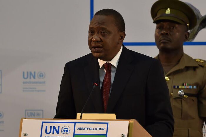 Image result for un environment assembly Uhuru