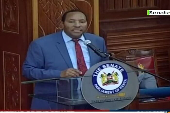 Kiambu Governor Ferdinand Waititu on the floor of the Senate on Wednesday, January 29