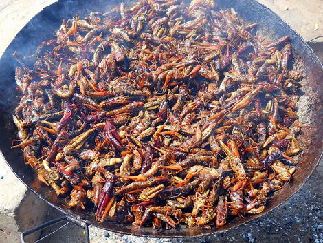 A pan filled with grasshoppers.
