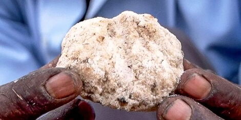A farmer displays a sample of a block of river reed salt..jpg