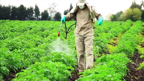 A farmer spraying pesticide on crops.