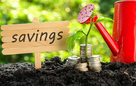 7 Important Factors To Consider Before Joining Sacco