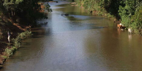 A section of River Kathita in Tharaka Nithi County