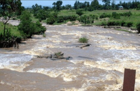 A section of River Nzoia in Western Kenya.