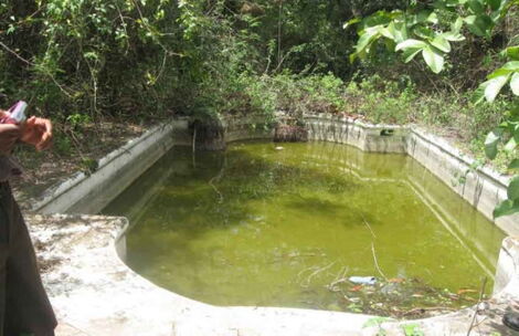 A swimming pool on a ranch that once belonged to VP Joseph Murumbi