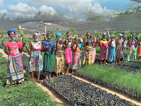 Women carrying trees at the Arsenal Forest in Bore, Kilifi County