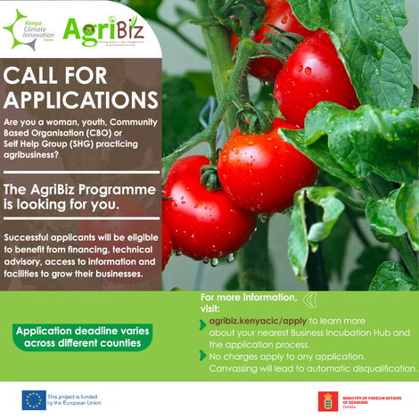 Poster calling for the grant application released by the Kenya Climate Innovation Center on October 16, 2021.