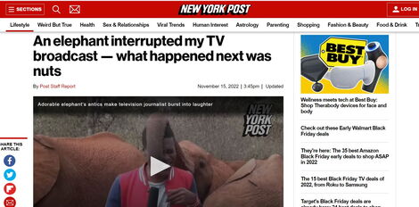 Alvin Kaunda's coverage on the New York Post Website