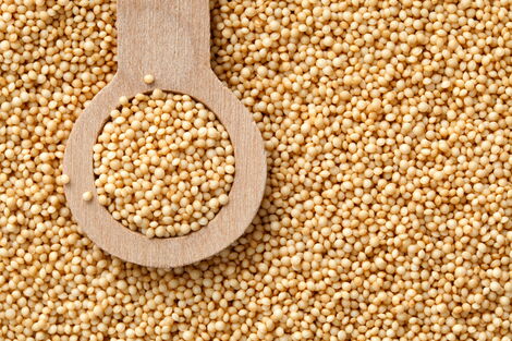 File photo of Amaranth seeds harvested