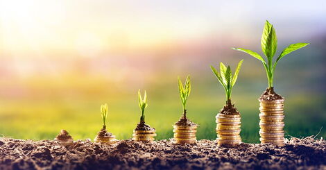 An elaborate representation of investment and growth