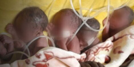 An image of the set of quintuplets born at the Nakuru Level Five Hospital.jpg