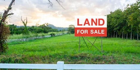 An undated photo of a land for sale signpost.