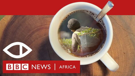 The poster for the investigative documentary by BBC Africa Eye, titled “Sex for Work: The True Cost of Our Tea.”