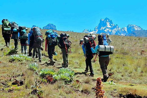 Image of tourists climbing Mt Kenya through Naro Moru Route dated January 2020