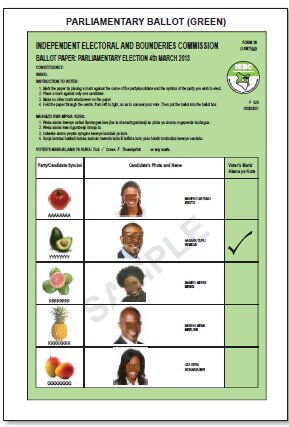 A sample of an IEBC ballot paper.