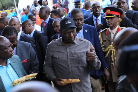 President William Ruto (in black cap) and Deputy President Rigathi Gachagua chew roasted maize during a conversation with traders moments before the official launch of the Hustlers Gund on November 30, 2022. 